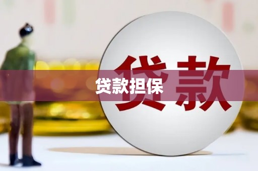 全南贷款担保