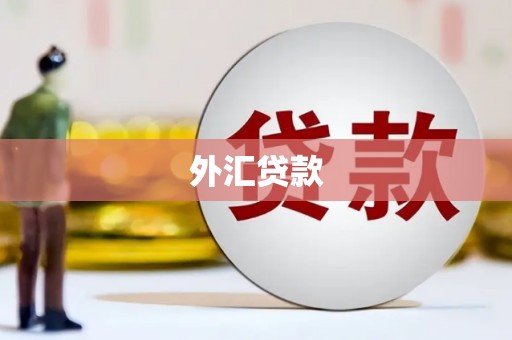 全南外汇贷款