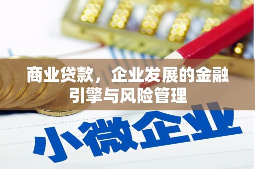 全南商业贷款，企业发展的金融引擎与风险管理