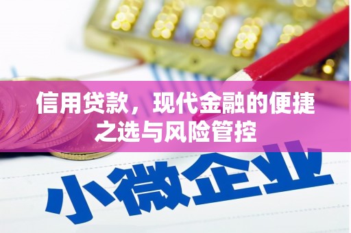 全南信用贷款，现代金融的便捷之选与风险管控