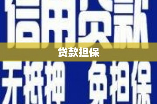 全南贷款担保