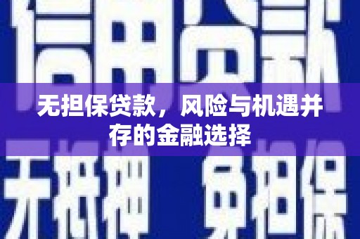 全南无担保贷款，风险与机遇并存的金融选择