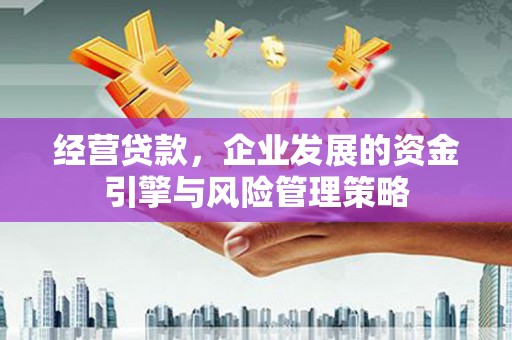 全南经营贷款，企业发展的资金引擎与风险管理策略