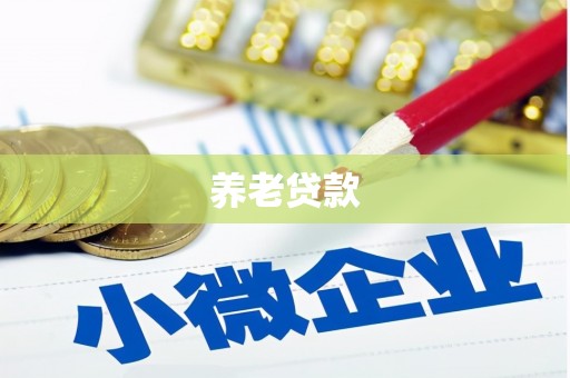 全南养老贷款