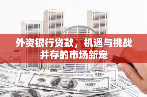 全南外资银行贷款，机遇与挑战并存的市场新宠