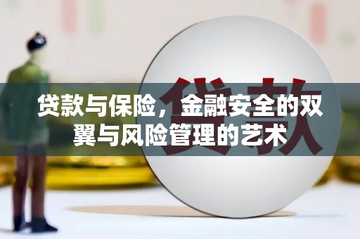 全南贷款与保险，金融安全的双翼与风险管理的艺术