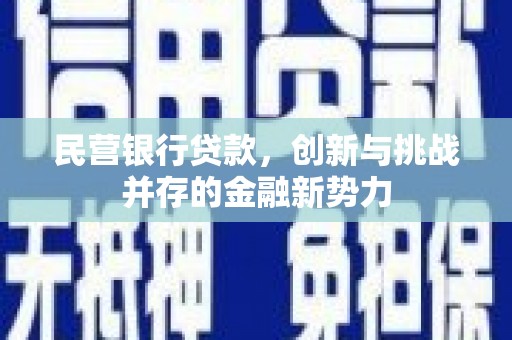 全南民营银行贷款，创新与挑战并存的金融新势力