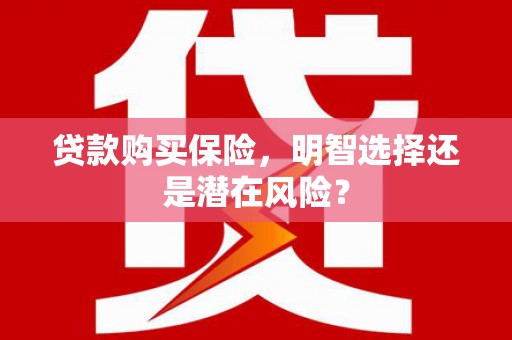 全南贷款购买保险，明智选择还是潜在风险？