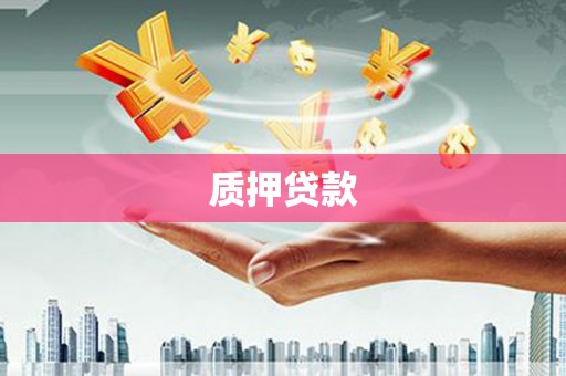 全南质押贷款