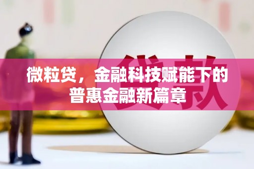 全南微粒贷，金融科技赋能下的普惠金融新篇章