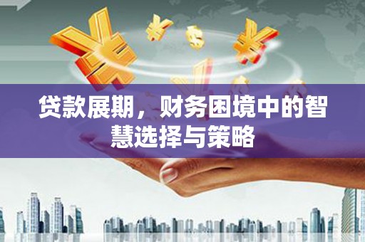 全南贷款展期，财务困境中的智慧选择与策略