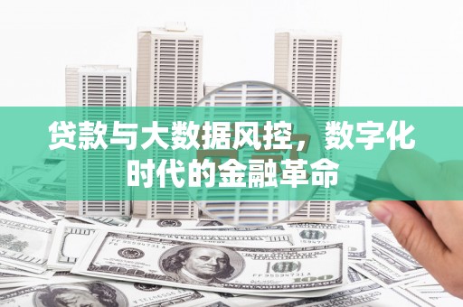 全南贷款与大数据风控，数字化时代的金融革命