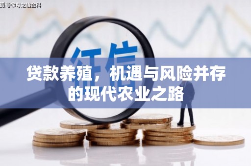 全南贷款养殖，机遇与风险并存的现代农业之路