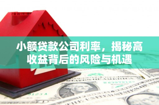 全南小额贷款公司利率，揭秘高收益背后的风险与机遇