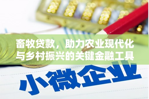 全南畜牧贷款，助力农业现代化与乡村振兴的关键金融工具