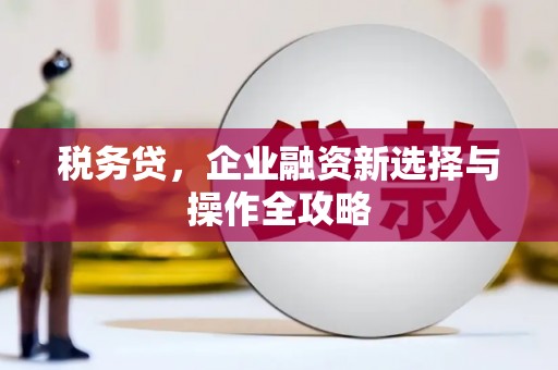 全南税务贷，企业融资新选择与操作全攻略