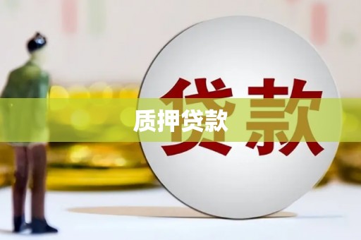 全南质押贷款