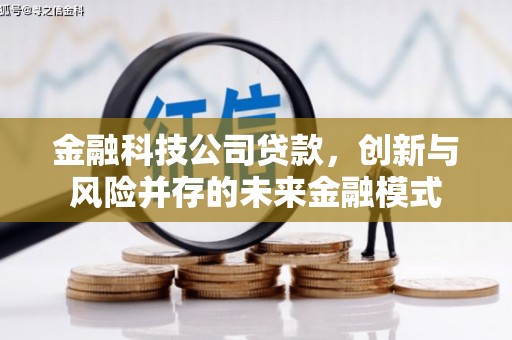 全南金融科技公司贷款，创新与风险并存的未来金融模式