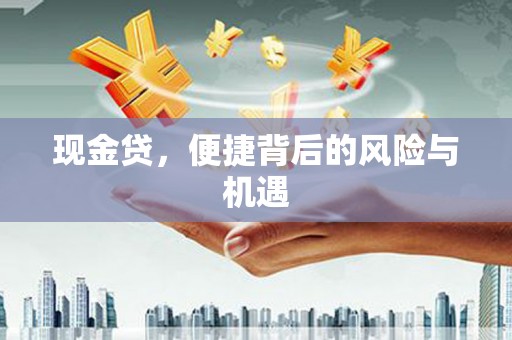 全南现金贷，便捷背后的风险与机遇