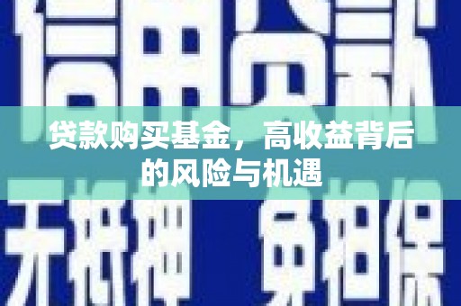 全南贷款购买基金，高收益背后的风险与机遇