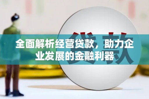 全南全面解析经营贷款，助力企业发展的金融利器