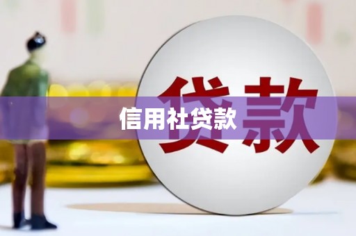 全南信用社贷款