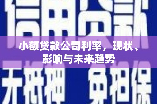 全南小额贷款公司利率，现状、影响与未来趋势