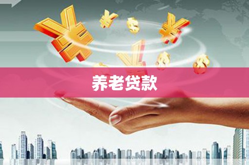 全南养老贷款