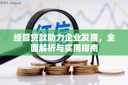 全南经营贷款助力企业发展，全面解析与实用指南