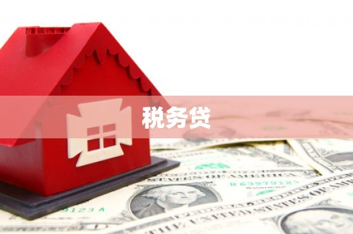 全南税务贷