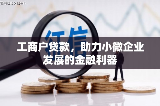 全南工商户贷款，助力小微企业发展的金融利器