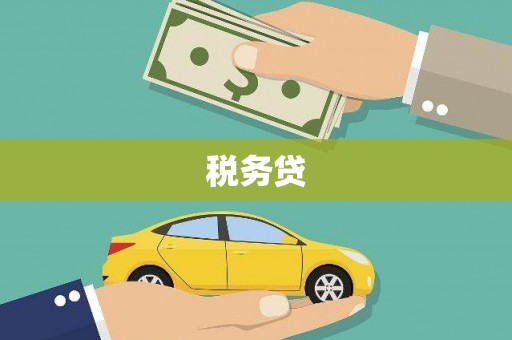 全南税务贷