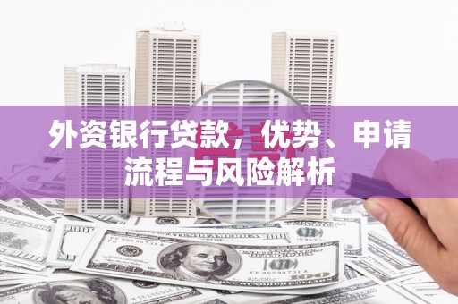 全南外资银行贷款，优势、申请流程与风险解析