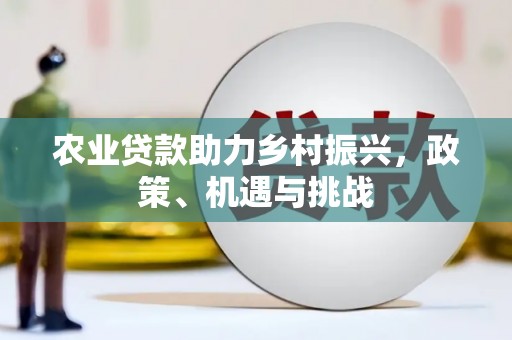 全南农业贷款助力乡村振兴，政策、机遇与挑战