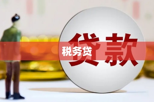全南税务贷