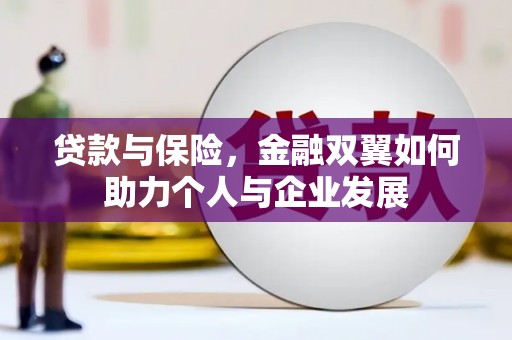 全南贷款与保险，金融双翼如何助力个人与企业发展