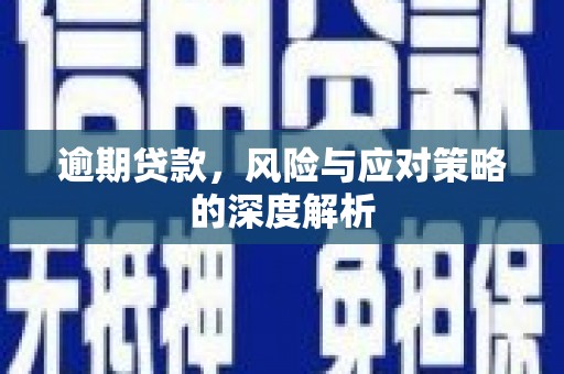 全南逾期贷款，风险与应对策略的深度解析