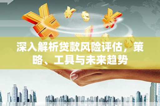 全南深入解析贷款风险评估，策略、工具与未来趋势