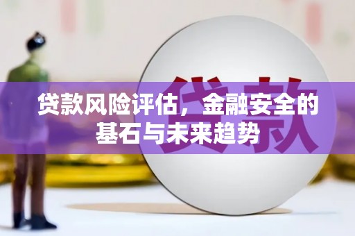 全南贷款风险评估，金融安全的基石与未来趋势