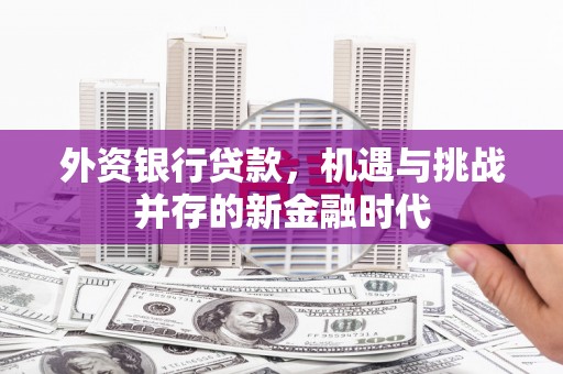 全南外资银行贷款，机遇与挑战并存的新金融时代