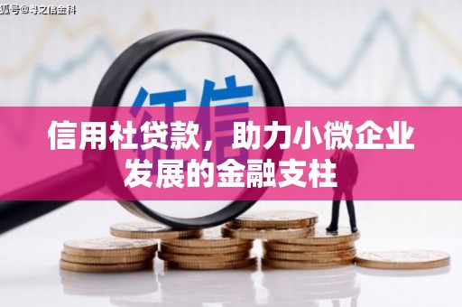 全南信用社贷款，助力小微企业发展的金融支柱
