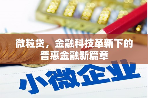 全南微粒贷，金融科技革新下的普惠金融新篇章