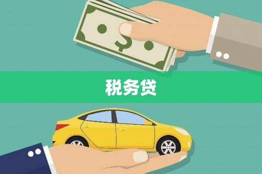 全南税务贷