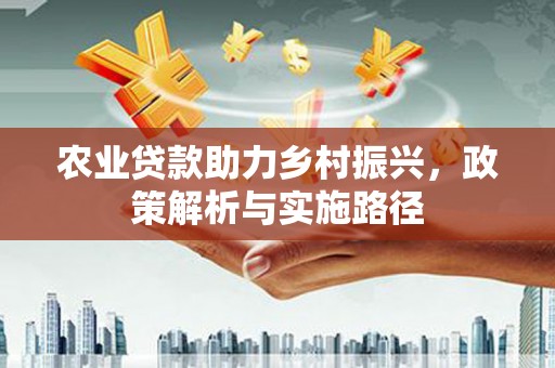 全南农业贷款助力乡村振兴，政策解析与实施路径