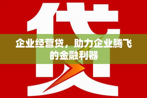 全南企业经营贷，助力企业腾飞的金融利器