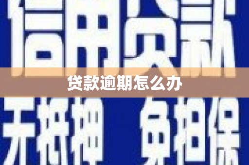 全南贷款逾期怎么办