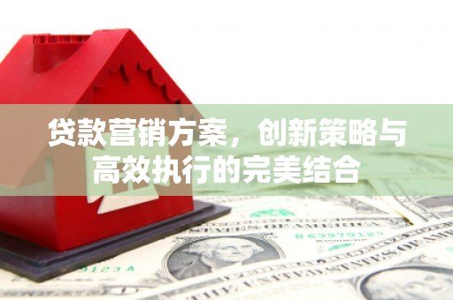 全南贷款营销方案，创新策略与高效执行的完美结合