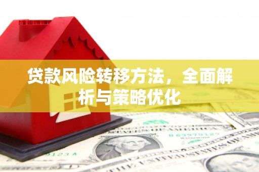 全南贷款风险转移方法，全面解析与策略优化