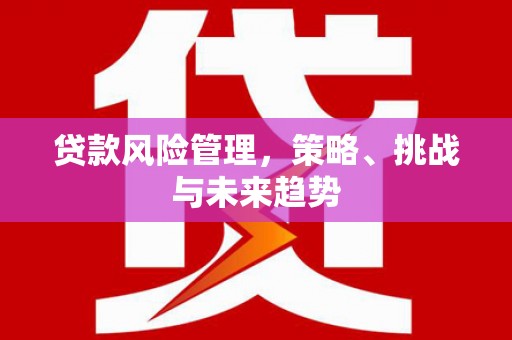 全南贷款风险管理，策略、挑战与未来趋势