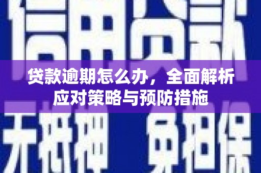 全南贷款逾期怎么办，全面解析应对策略与预防措施